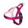 Nobby Νορβηγικο Επιστηθιο Classic Preno (38-50Cm X 20/25Mm) Rasberry