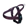 Nobby Νορβηγικο Επιστηθιο Classic Preno (50-64Cm X 25/35Mm) Καφε