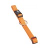 Nobby Περιλαιμιο Classic (20-35Cm X 10Mm) Πορτοκαλι