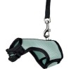 Trixie Σαμαρι Για Μικρα Τρωκτικα 25-32Cm/1.2M