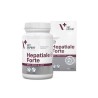 Vet Expert Hepatiale Forte 40 Caps Small Breeds & Cats Twist Off