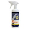 Tafarm Antiphlebotome Citro Αντιπρασιτικο Spray Σκυλου 250Ml