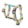 Max & Molly Σαμαρακι Σκυλου Exotique S N30-46Cm / C 1.5X41-52Cm