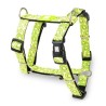 Max & Molly Σαμαρακι Σκυλου Kiwi M N36-58Cm / C 2X53-69Cm