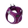 Glee Σαμαρακι Joy Μωβ 2Xs 28-32Cm
