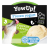 Yow Up Frozen Yogurt Chicken & Apple 110G