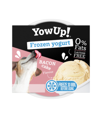 YOW UP FROZEN YOGURT BACON...