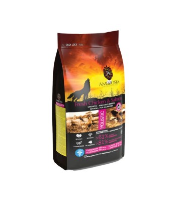Ambrosia Puppy Large Κοτοπουλο & Σολωμος 2Kg