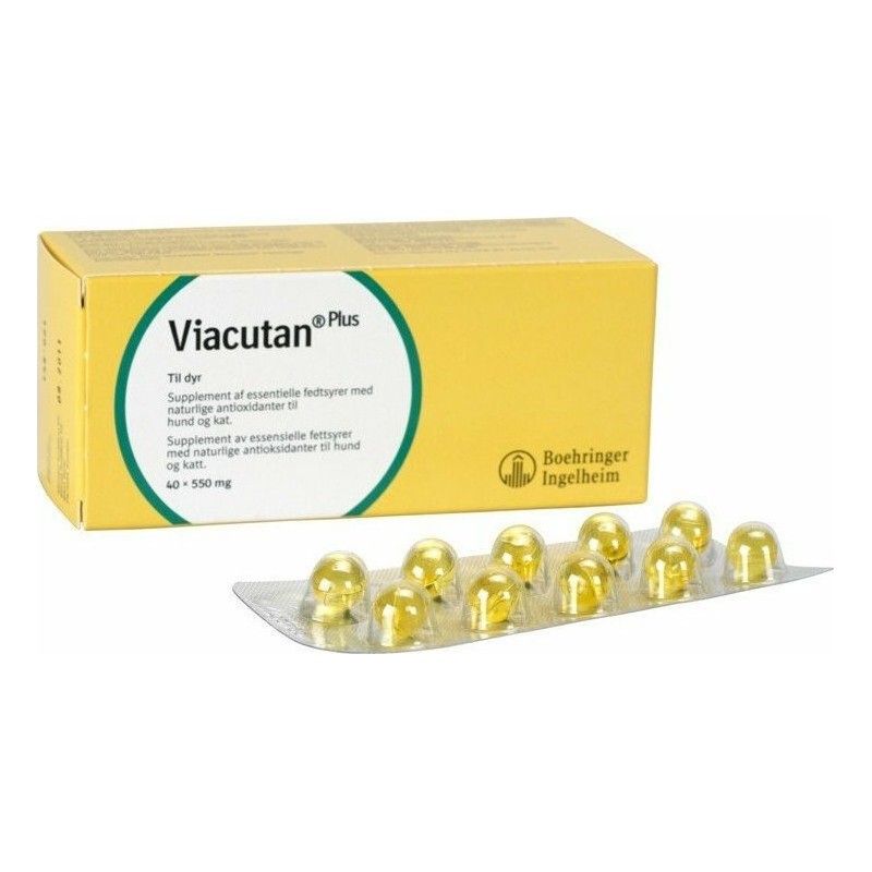 Boehringer Ingelheim Viacutan Plus Συμπλήρωμα Διατροφής Σκύλου & Γάτας 40 Tabs