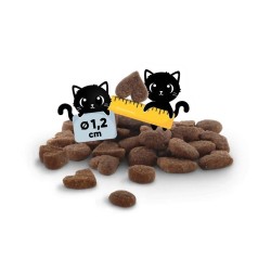 Lucky Lou Adult Πουλερικά & Φρέσκο Κοτόπουλο 1.7Kg