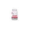 Vet Expert Arthrovet Complex 60 Tablets