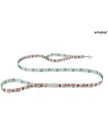 Amiplay Casual Οδηγος 20mm...