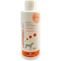 Απαλό στο δέρμα, σκληρό με τα μικρόβια – Το Dermovet Pyo προστατεύει και καθαρίζει σε βάθος!