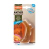 Nylabone Μασητικο Κερατο Για Κουταβια Με Γευση Κοτοπουλο Xs