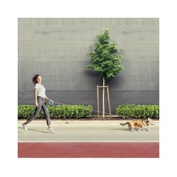 Waudog Μπλε Πτυσσομενος Οδηγος Ring Hands Free Xs-S Εως 40Kg 2.9M
