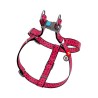 Waudog Σαμαρακι Σκυλου Watermelon Με Smart Id 40-55Cm