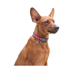 Περιλαιμιο Σκυλου Waudog Unicorns Me Smart Id 35-58Cm