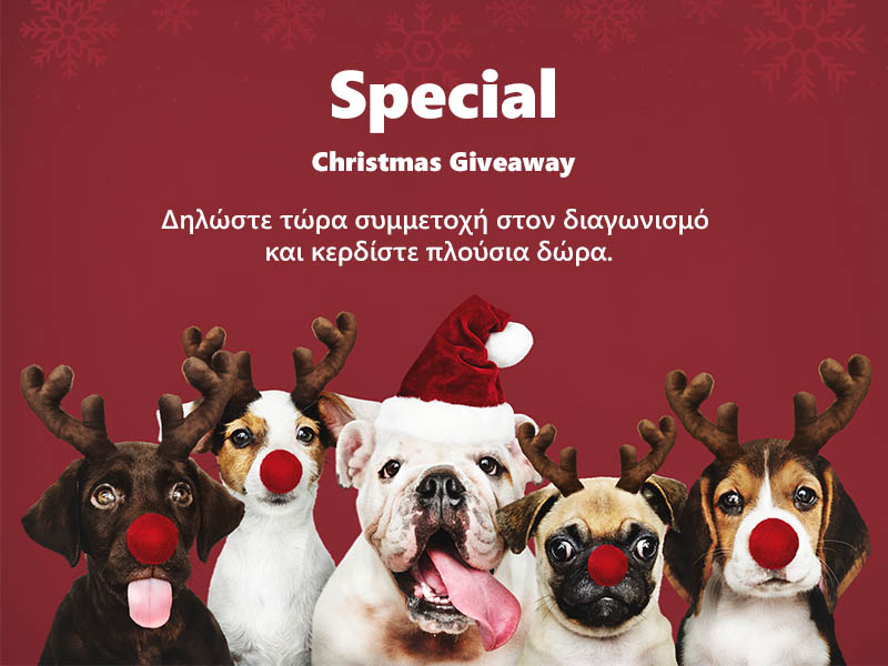 geniuspet-giveaway