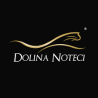 DOLINA